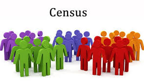 Annual Town Census