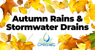 autumn rain and stormwater drain