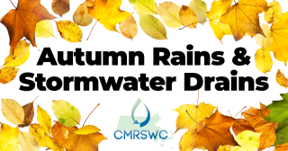 stormwater leaves