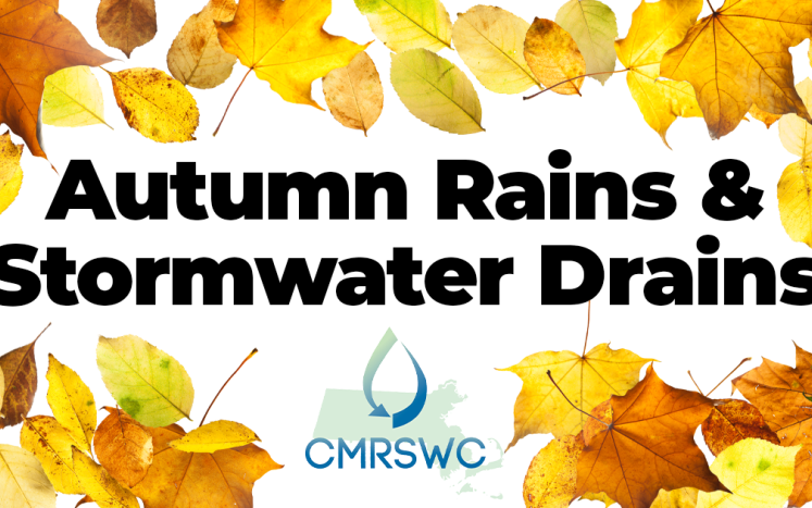 autumn rain and stormwater drain